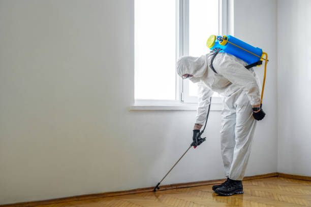 Professional Pest Control in Hurricane, WV